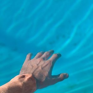 Meet your Posher, Hector